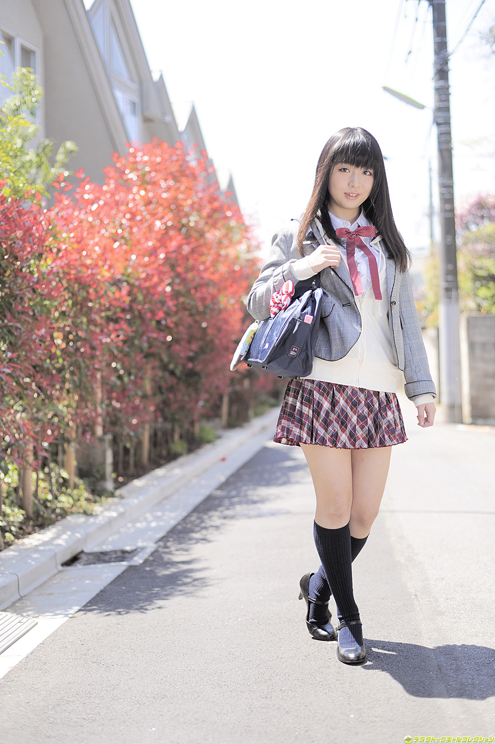 制服美少女天國 No.981 涼本めぐみ [DGC]10月號 Megumi Suzumoto